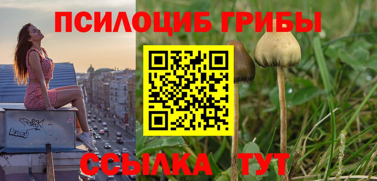 Бузулук  Псилоцибиновые грибы мухоморы  Вход с VPN  как найти закладки  Галлюциногенные грибы MAGIC MUSHROOMS 
