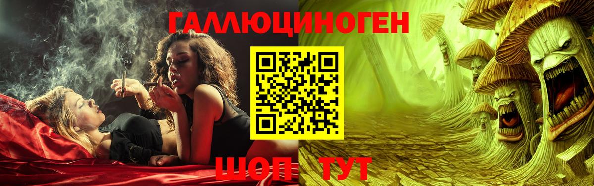 Псилоцибиновые грибы Psilocybe Бузулук